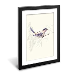 Black Paper Framed Canvas Wall Art for Living Room, Bedroom Beautiful Birds Flying Canvas Prints for Home Decoration Ready to Hanging - 23x31 inches