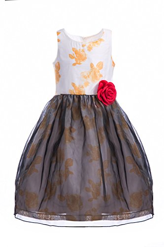 Emma Riley Girls Sleeveless Printed Floral Tulle Princess Party