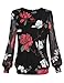 BAISHENGGT Women's Long Sleeve Pleated Front Mesh Blouse X-Large Black Floral