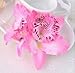 MorningRising 20 Pcs Multicolor Women Girls Orchid Flower Bohemian Leopard Hair Clip Wedding Party Beach Bridal Hairclip Hair Pins Hair Barrette Accessories