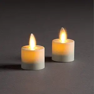 Napa Home & Garden Lightli Mvng Flme Tlght 1.5X2, Set of 2