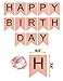 Pink Birthday Party Decoration, Pink Birthday Decoration, Pink Happy Birthday Banner, Paper Tassels, Pink and Gold Letters Birthday Bunting Stylish Decorations, Toddler Birthday Decorations