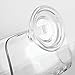 InterDesign Power Lock Kitchen Sink Suction Holder for Scrubbers, Soap - Clear