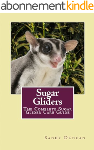 Download Sugar Gliders: The Complete Sugar Glider Care Guide (English Edition) PDF