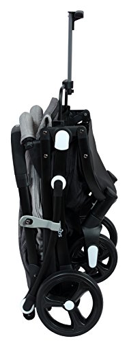 chanceliere looping squizz