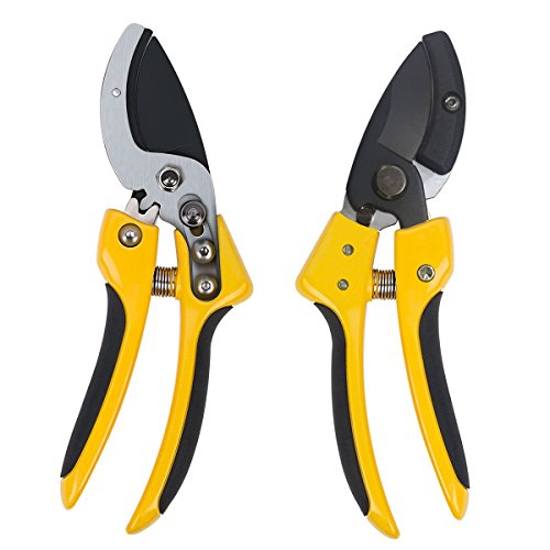 Anvil Pruning Shears 8 inch Professional SK-5 Steel Blade Sharp Gardening Scissors Flower Hand Pruners Garden Clippers