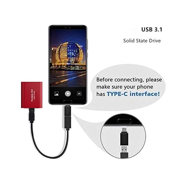 Externe SSD, 1 TB, USB 3.1, Typ C, tragbares Solid-State-Laufwerk-Speicher, tragbare mobile Festplatte, Mini für PC, Mac… – Bild 6