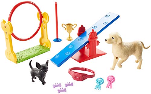Barbie Ken Dog Trainer Playset with Doll and Accessories, Multi â Babiesandkidsplace