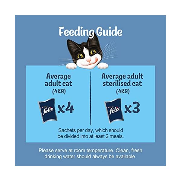 Felix-Mixed-Selection-in-Jelly-Cat-Food-120-Pouches-120-x-100-g Felix Adult Wet Cat Food Mixed Selection in Jelly Beef, Chicken, Tuna, Salmon 120 x 100g Pouches