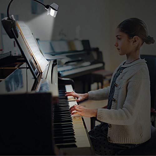 5 Professional+3000K+6000K+Orchestra+Dimmable+Rechargeable