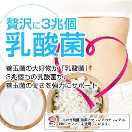 Amazon しあわせ発酵 酵素とケフィア １袋 186粒入 酵素 3兆個の乳酸菌 ケフラン 日本ケフィア 乳酸菌