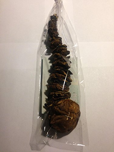 Dried Mushrooms Polish Boletus Badius(Podgrzybek Brunatny)Whole caps50gr/1.76oz