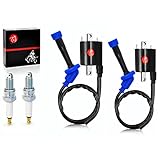 2x Ignition Coil Pack & Spark Plug Compatible with