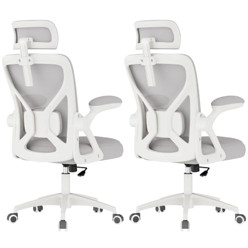 VASAGLE Ergonomic Mesh Office Chairs with Adjustable Lumbar Support and Headres…