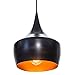 Flo 1-Light Pendant, Matte Black, Gold Interior,63871