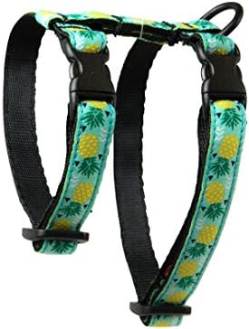 RC Pet Products 1/2″ Kitty Cat Harness