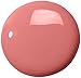 LAURA GELLER NEW YORK Shine Stick Triple-Benefit Lip Color with Lipstick, Lip Gloss and Lip Balm Effect - Long Lasting, Moisturizing, High Shine and Pigmented 3-in-1 Lip Color, Champagne Toast