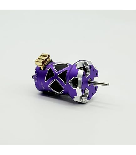 Amazon.com: HOBBYWING Xerun D10 10.5T Motors (Xerun D10 (10.5T