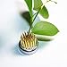 Tinsow 2 PCS Kenzan Ikebana Flower Frog Flower Arranging Frog Spiky Frog Fixed Tools Floral Arrangement Pin Holder Round (0.9