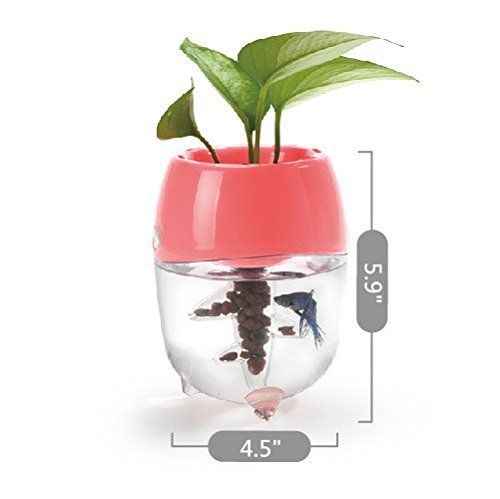 Dr-Moss-Aquaponic-Fish-Tank-Aquarium-for-Betta-Fish-with-Water-Garden-Planter-Top-Lid-Natural-Ecosystem-for-Plant-Growth-Blue