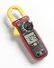 Amprobe AMP-210 Clamp Meter