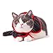 Legendog Pet Cloak Costumes Dog Funny Clothes Cute Cosplay Vampire Cloak Cape for Small Dogs Cats Halloween Clothing