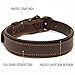 Logical Leather Padded Dog Collar - Best Full Grain Heavy Duty Genuine Leather Collar - Brown - Medium