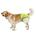 Teamoy 4pcs Washable Female Dog Diapers, Reusable Doggie Diaper Wraps for Female Dogs, Super-Absorbent and Comfortable, XS