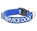 SERVICE DOG Blue Color Coded S-M L-XL Buckle Dog Collar (Do Not Disturb) PREVENTS Accidents By Warning Others of Your Dog in Advance (S-M Collar 10-17