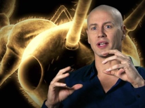 Amazon.com: Watch Monster Bug Season 1 | Prime Video