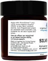 argentum plus Silver-MSM Cream 30 ml Non-Fragranced Skin Care view 3