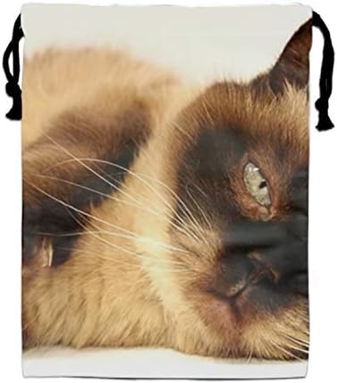 Sleeping Cat Drawstring Backpack Bags for Party Favors Supplies Birthday, Gift for Kids Teens Boys