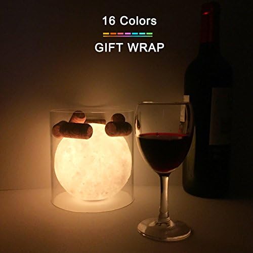 Moon Lamp Led Changes 16 Colors With Remote And Touch Control Moon Lights For Decoration, Lighting, Storage And Meditation With Gift Box 2018 Favorite Unique Gifts USB Recharge(4.7 Inch)
