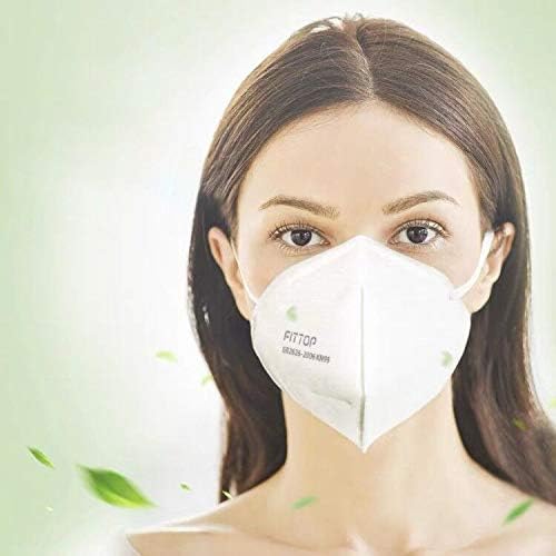 N95 Masks Anti-virus Paint Sanding Dust Particulate Respirators, 1-Pack