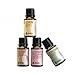 Rocky Mountain Oils - Single Essential Kit - 15 ml - 100% Pure and Natural Essential Oil Kit | Includes Lavender Bulgaria, Lemon, Peppermint, & Tea Tree