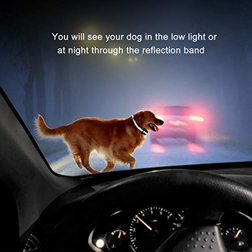 Beinhome Wireless Electric 2 Dog Fence System Electronic Outdoor Wireless Fence for 2 Dogs Rechargeable Receiver Collars - Thumbnail 7