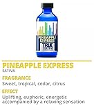 TRUE TERPENE PROFILES PINEAPPLE EXPRESS 2ML BOTTLE