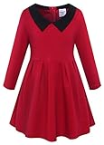 Lynlla Kids Girls Turn-Down Collar Long Sleeve Cotton Princess Pleated Dress