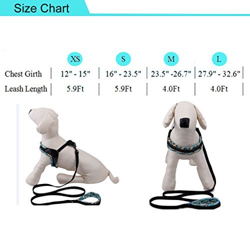 SIAYI Dog Harness & Leash Set, Reflective No-Pull Comfort Padded Walking Harness Vest and Dog Leash with Cushioned Handle, Adjustable & Lightweight for Small Medium & Large Size Dogs (S)