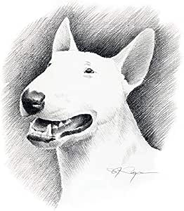 Amazon Com White Bull Terrier Art Print By Artist Dj Rogers Posters Prints Amazon Com White Bull Terrier Art Print By Artist Dj Rogers Posters Prints