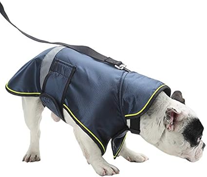 amazon dog apparel