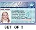 Medicare and Social Security Card Protector (Set of 3)