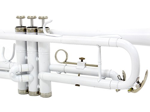 3 DLuca+500WH+Standard+Professional+Cleaning