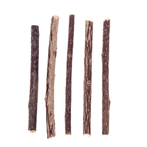 5Pcs Pure Natural Catnip Pet Cat Molar Toothpaste Stick Cat Cleaning Teeth Pet Cat Molar Toothpaste Stick Cat Snacks Sticks - Thumbnail 5