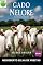 Livro Gado Nelore