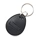 THONSEN 10pcs 125KHz EM4100 RFID Key Fobs(Grey) - Read Only, Not Rewritable Not Programmable
