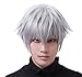 Aplus - Tokyo Ghoul Anime Ken Kaneki Cosplay Wig Silver White Hair + Cap (One Size, Silver.)