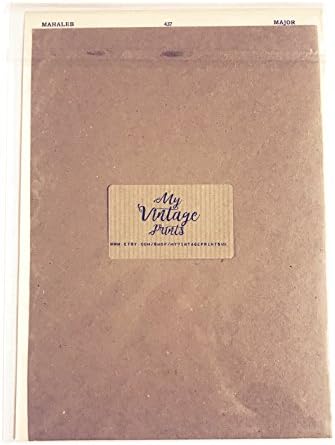 Dog in stripey scarf and jumper Dictionary Art Print Vintage Animal in Clothes