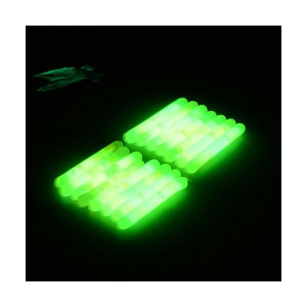 JXULE-Mini-Fishing-Fish-Fluorescent-Lightstick-Night-Float-Dark-Glow-Stick-Box-Set-of-15 JXULE-Mini-Fishing-Fish-Fluorescent-Lightstick-Night-Float-Dark-Glow-Stick-Box-Set-of-15
