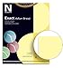 Exact® Vellum Bristol Card Stock, Canary, Letter (8.5